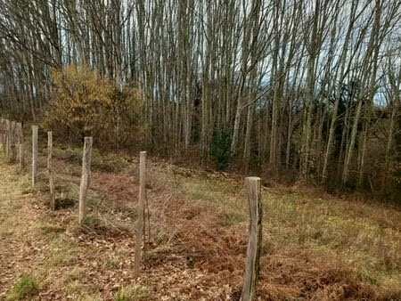 terrain boisé de chênes