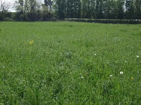 terrain 1 298 m² montpensier