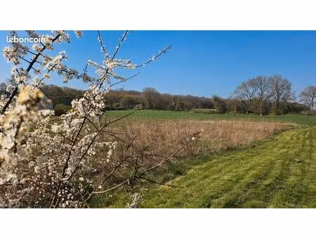 terrain 1006 m² guignecourt