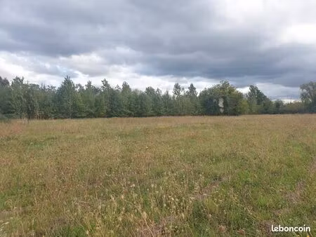 terrain à bâtir 980 m2