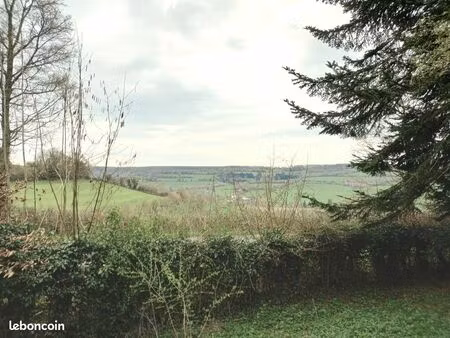 joli terrain de loisirs. camembert