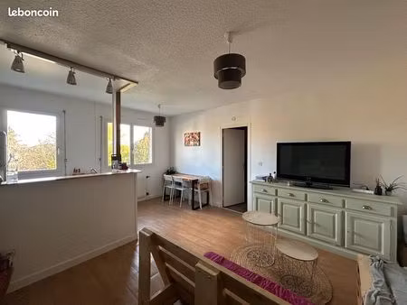 appartement 38m carre