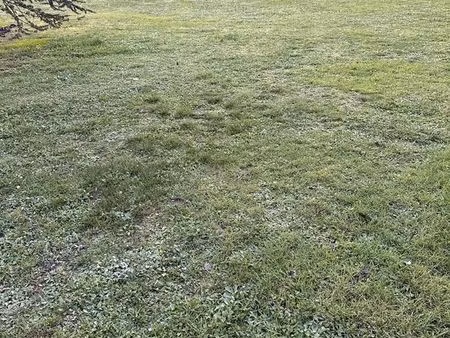 terrain 747 m2 constructible