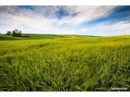 recherche terres agricoles