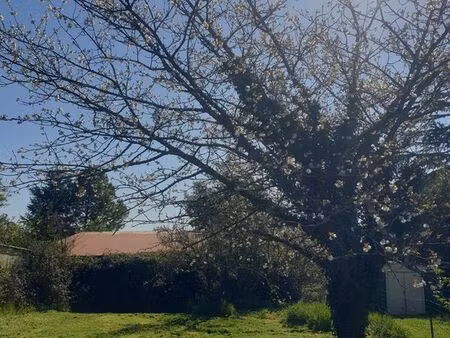 terrain cognac saint jacques constructible viabilisé