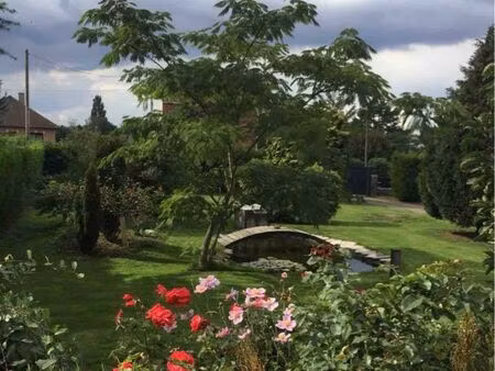 terrain constructible