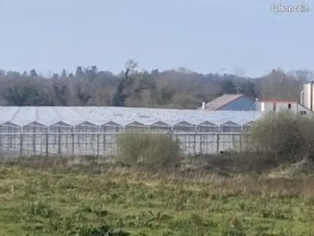 serre exploitation agricole à relancer