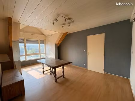 appartement 2 pièces 47 m²