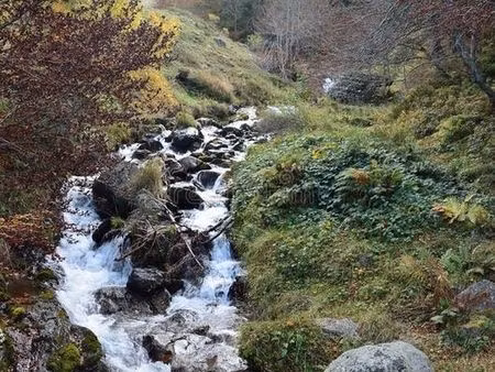 cherche parcelle prairie/boisée avec ruisseau - béarn (64)