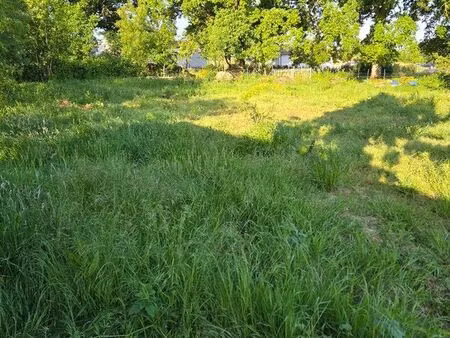 terrain constructible