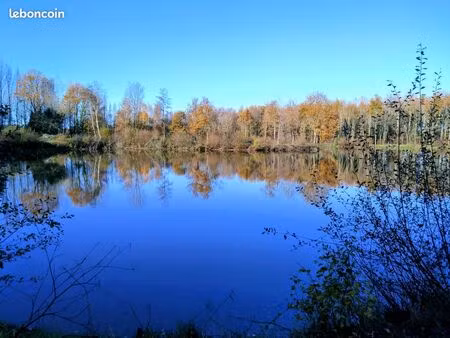 terrain de loisir avec étang