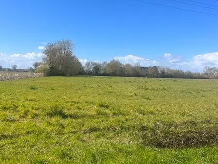 terrain saumur villebernier ￼