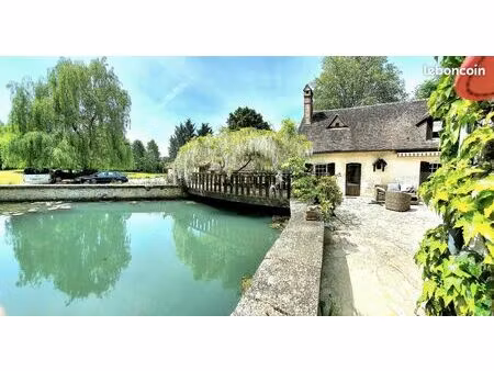 en puisaye  un ancien moulin de 300 m² et son parc de 2 7 hectares