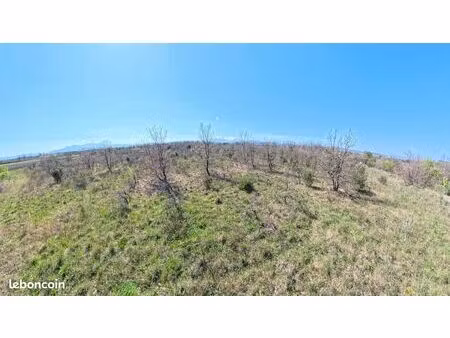 terrain proche des habitations