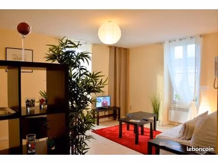 appartement meuble 44 m² - vieux cognac
