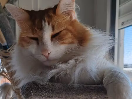 recherche location t2