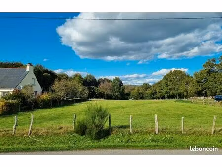 terrain constructible