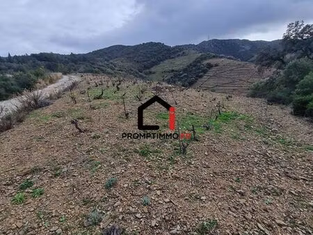 terrain 9840 m² banyuls-sur-mer