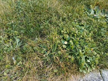 recherche logement centre ville flers