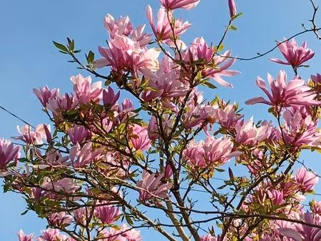 recherche terrain non constructible autour de vannes ou autour de lorient