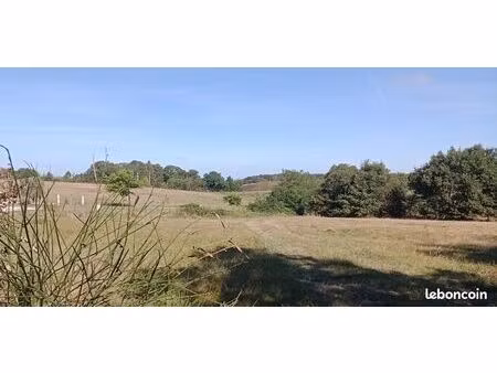 grand terrain constructible