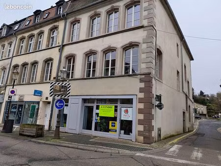 local commercial 111 m² st avold