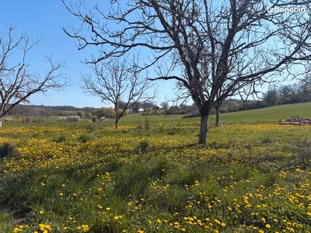 terrain viabilisé 973 m2 martel