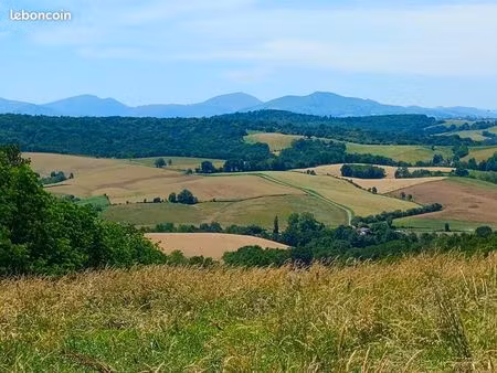 terrain 50 000 m² bidache