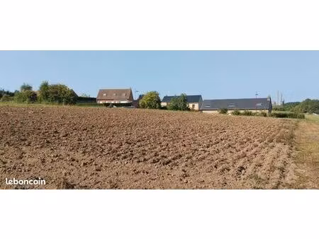 terrain constructible