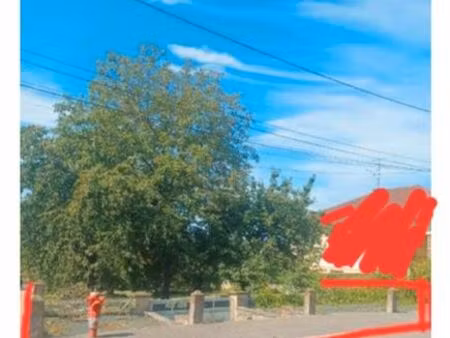 terrain constructible