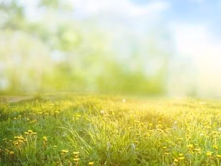 recherche terrains 1500m2 - 5000m2