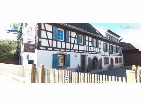 appartement 3 pièces avec jardin – ostheim (proche colmar)