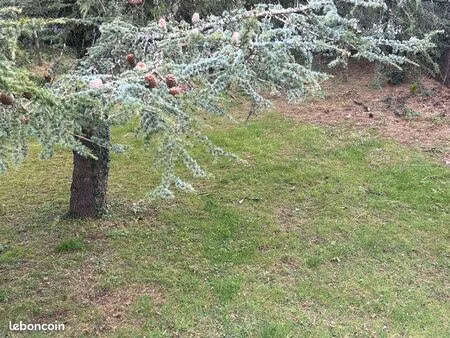 terrain centre plescop 350m2