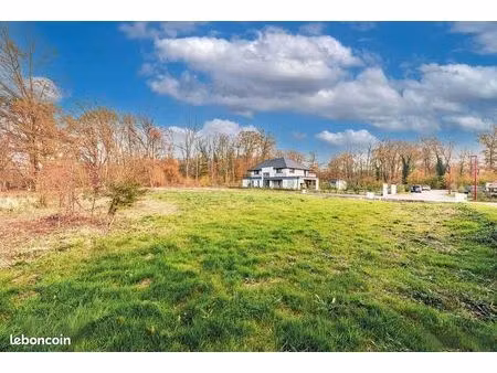 terrain borné et viabilisé