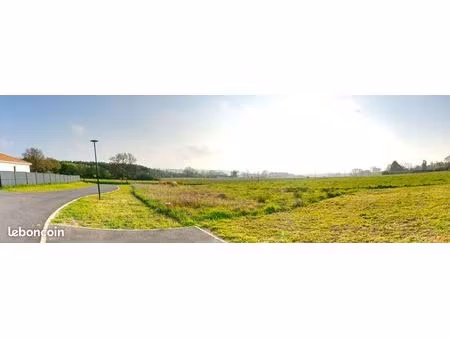 grand terrain viabilisé en lotissement (r+1 et logement collectif possible)