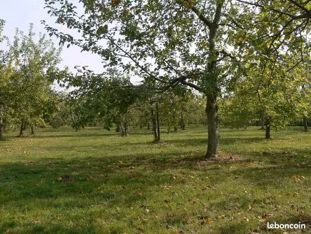 apiculteur recherche terrain