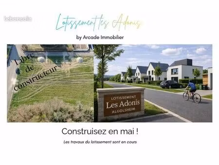 terrains viabilisés à algolsheim - proche allemagne