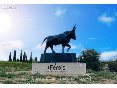 maison de village 4 pièces 71 m²