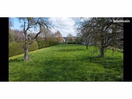 terrain construction