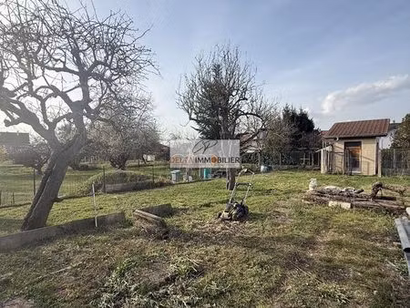 terrain 500 m² petit-landau