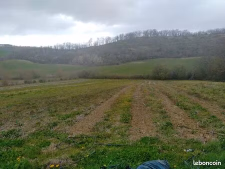 terrain agricole