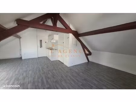 studio 1 pièce 21 m²