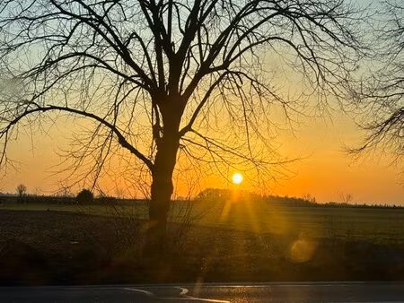 terrain d’environ 1 hectare