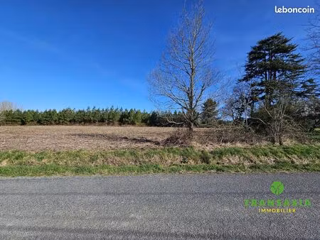 terrain 1990 m² gans