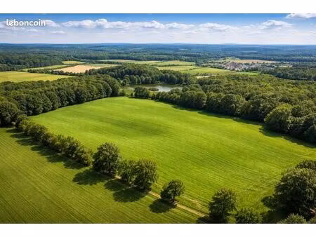 terrain constructible