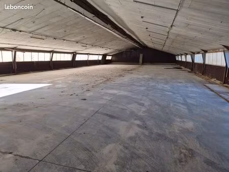 hangar pour stockage