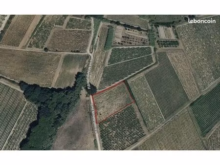 terrain loisir vigne