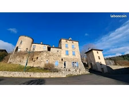 en vente - château avec gîtes rentables – ensemble immobilier générant des revenus immédia