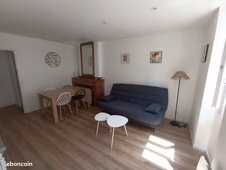 t3 spacieux et lumineux en centre ville