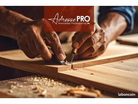 local commercial 295 m²